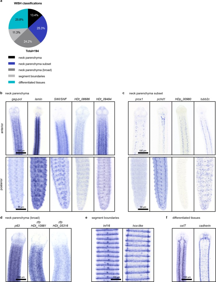 Figure 3—figure supplement 1.