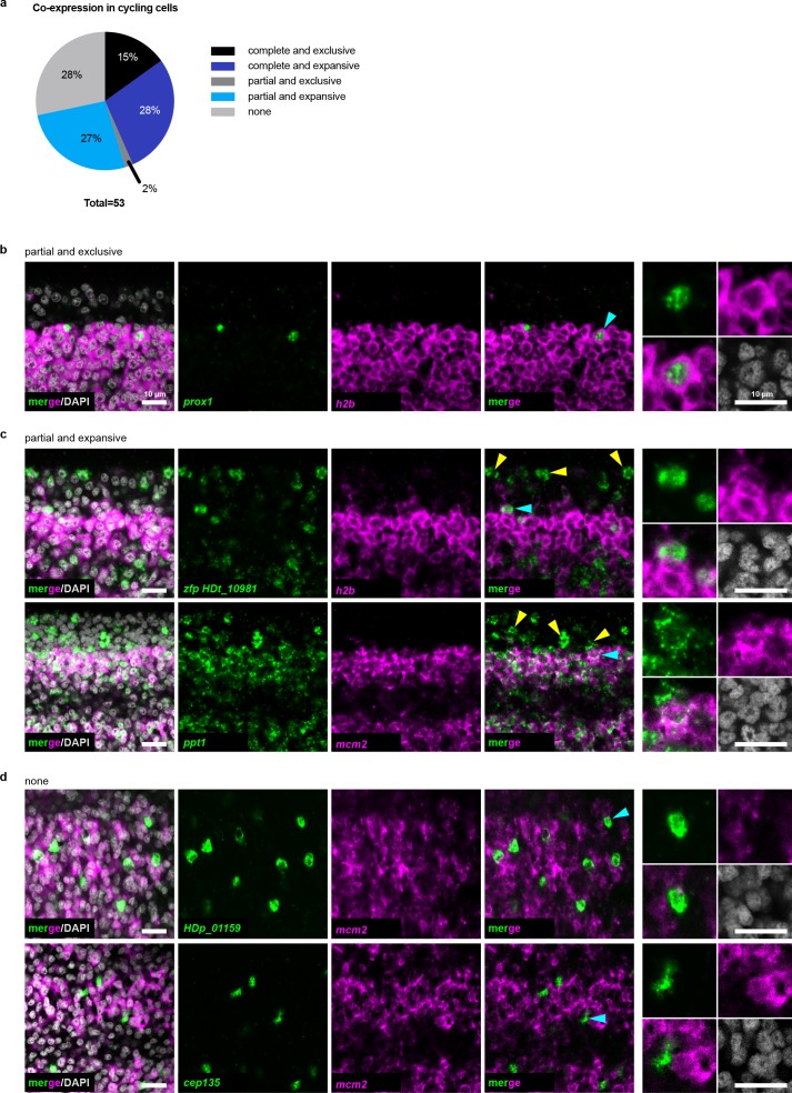 Figure 3—figure supplement 3.