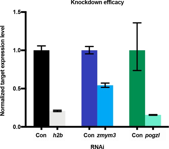 Figure 4—figure supplement 1.