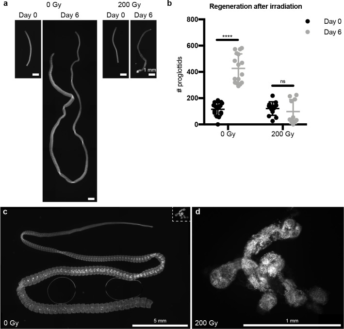 Figure 2—figure supplement 1.