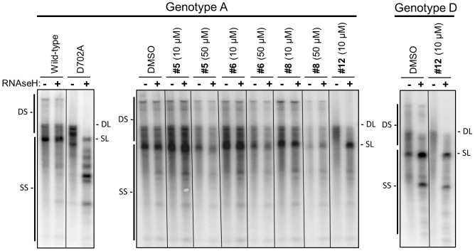 Figure 10