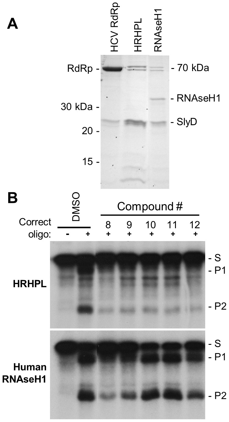 Figure 9