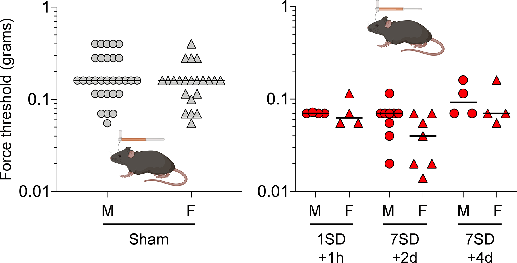 Figure 5.