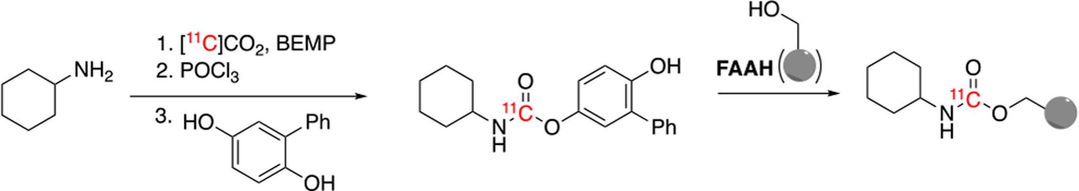 Scheme 1.