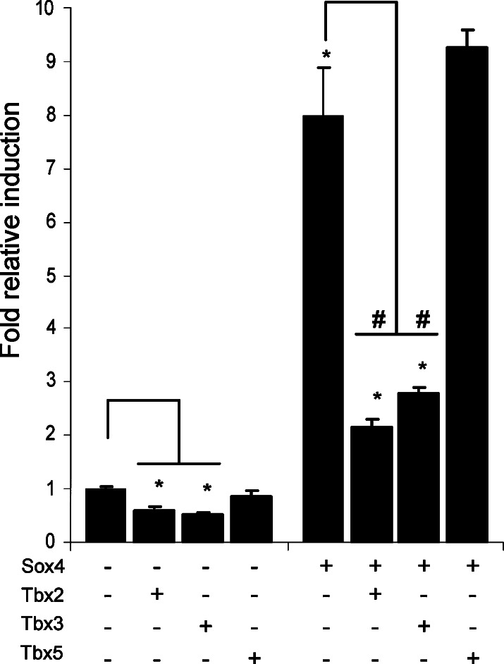 Fig. 6