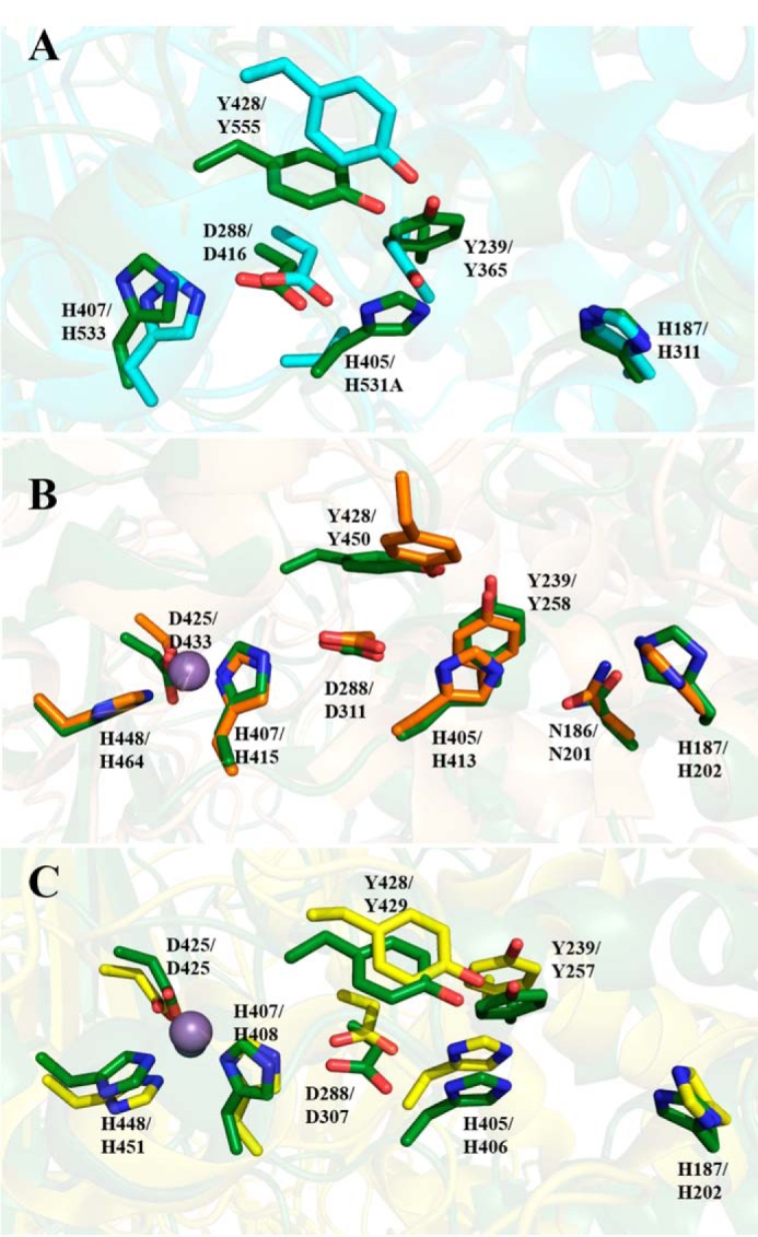 Figure 7.