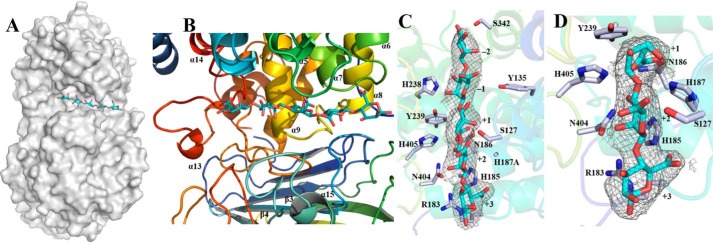 Figure 5.