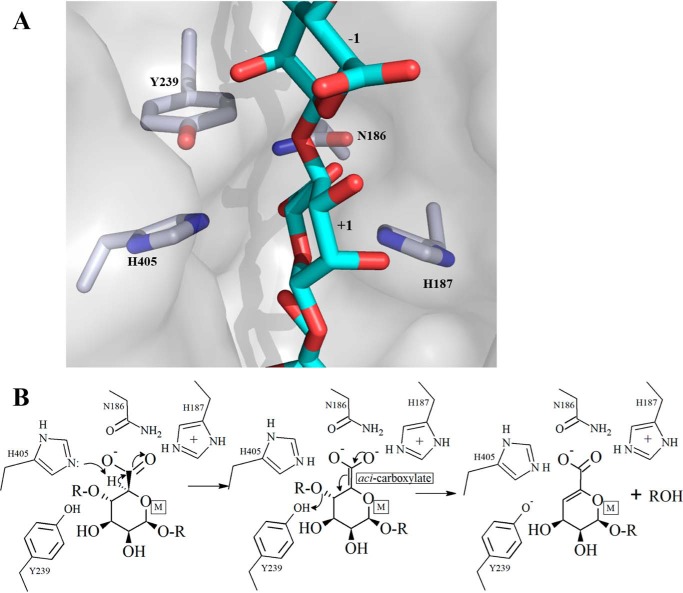 Figure 6.