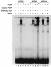 FIG. 5