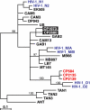 FIG. 7.