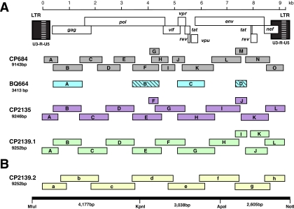 FIG. 2.