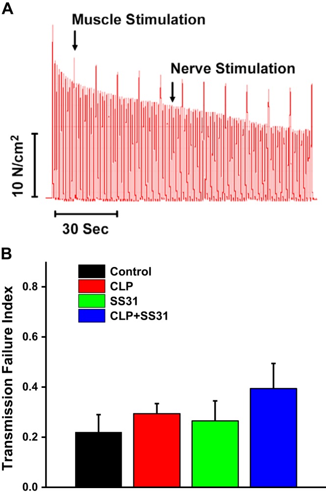 Fig. 3.