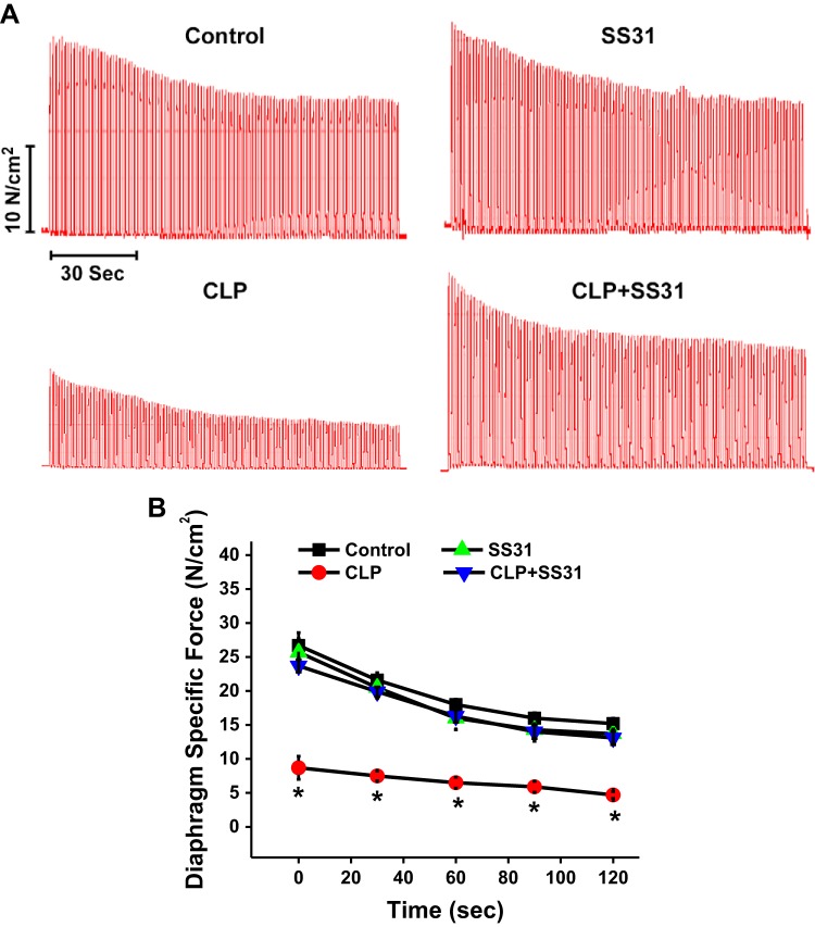 Fig. 4.