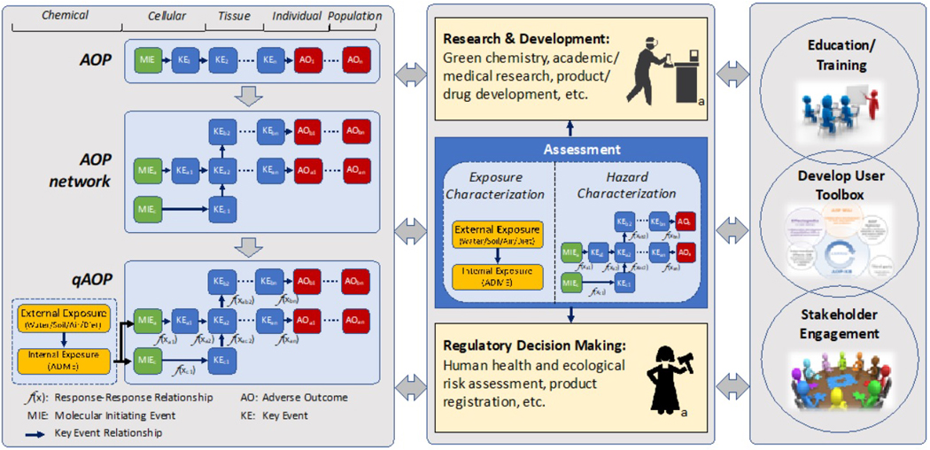 graphic file with name nihms-1534444-f0004.jpg