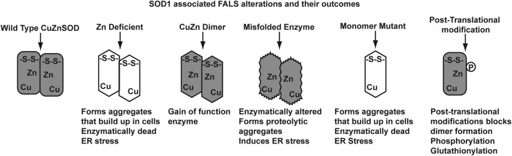 FIG. 7.