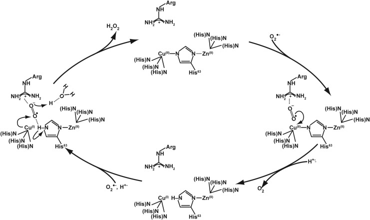 FIG. 5.