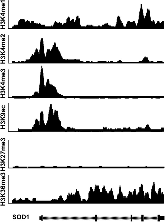 FIG. 2.