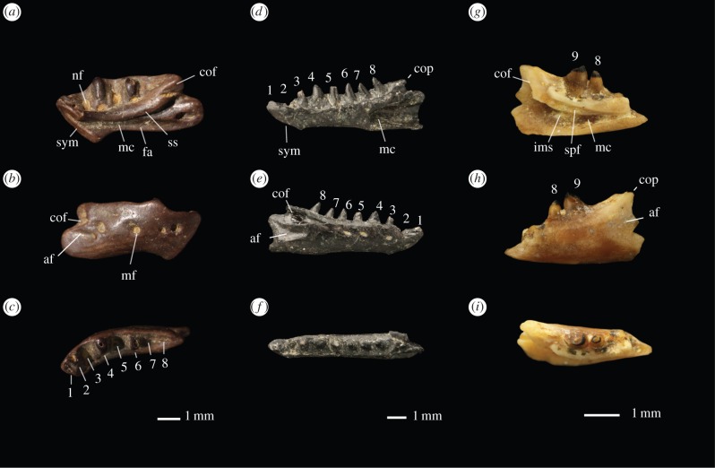 Figure 1.