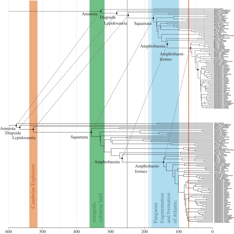 Figure 4.