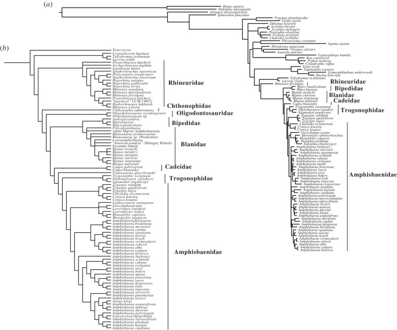 Figure 2.