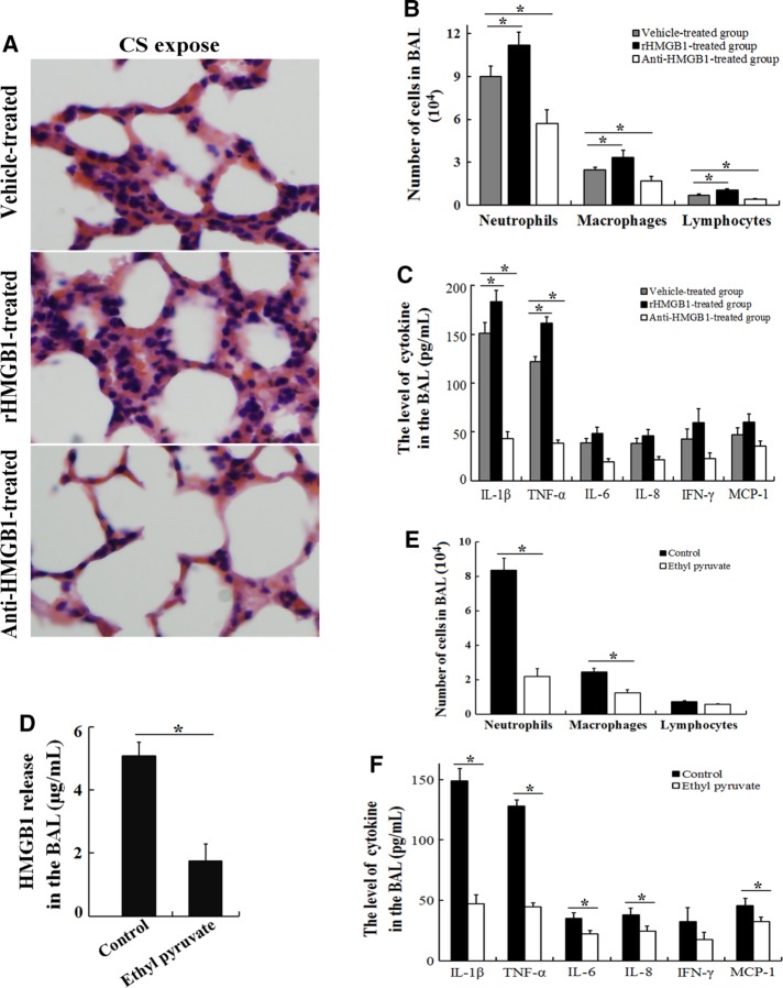 FIGURE 4: