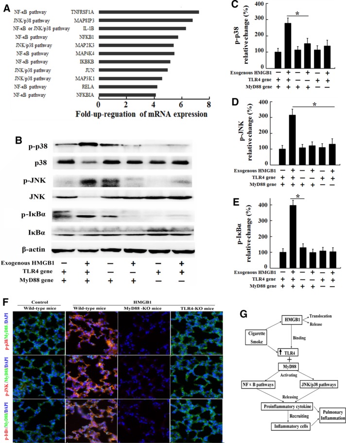 FIGURE 6: