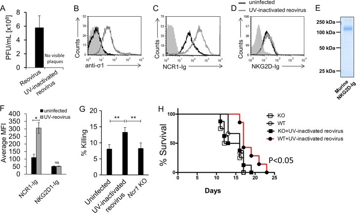 FIG 6