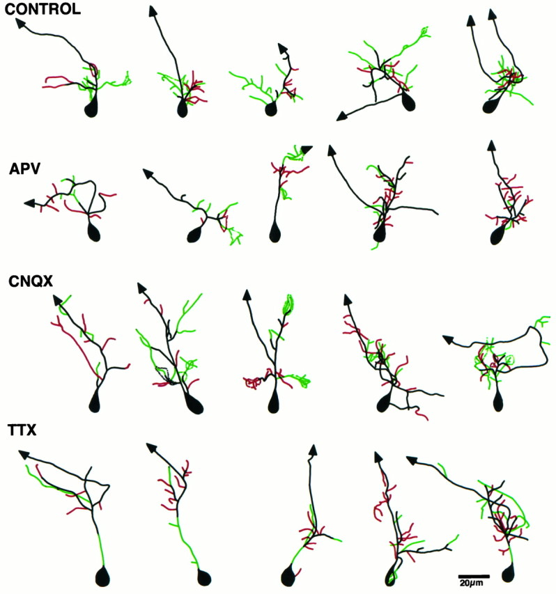 Fig. 8.