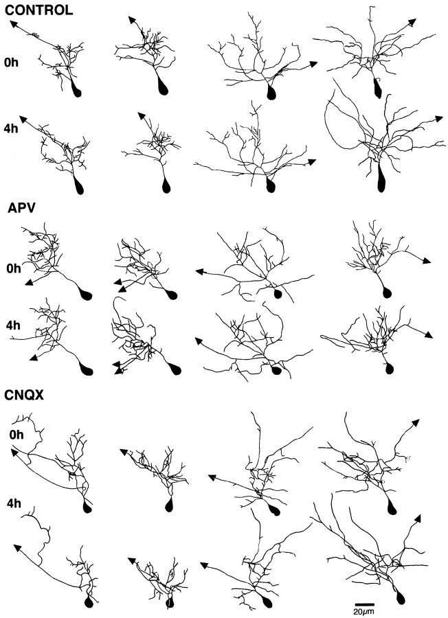 Fig. 10.