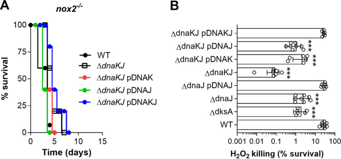 FIG 2