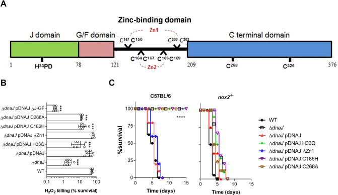 FIG 3