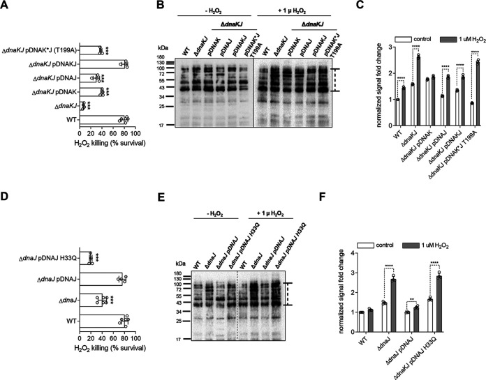 FIG 4