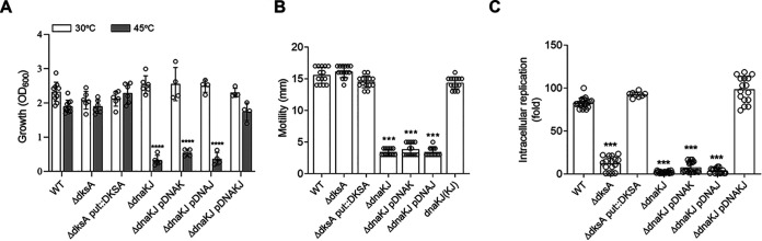 FIG 7