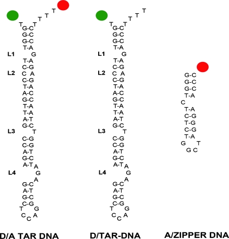 FIG. 2.