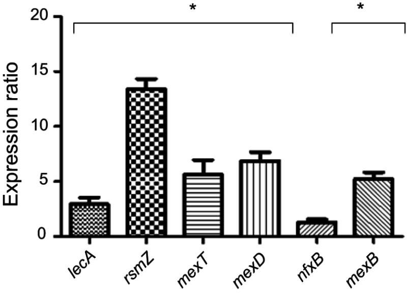 Figure 5