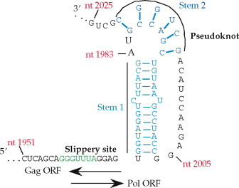 FIGURE 1.18