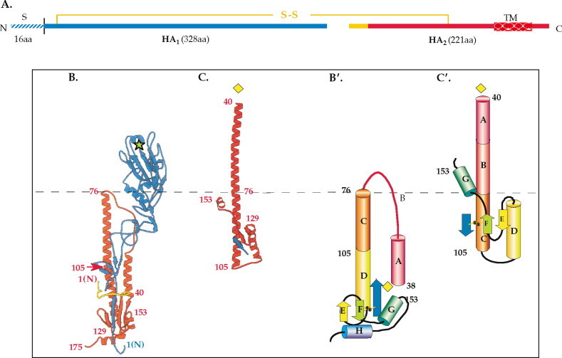 FIGURE 1.6