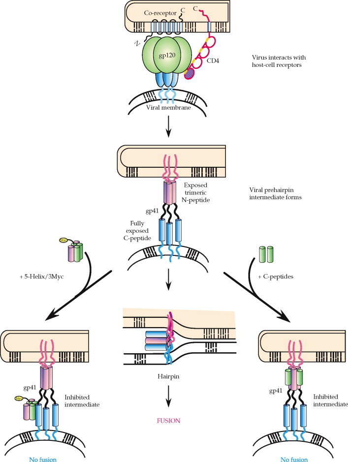 FIGURE 1.7