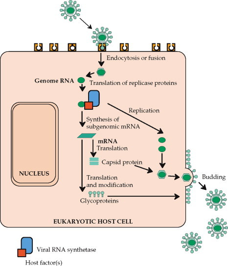 FIGURE 1.10