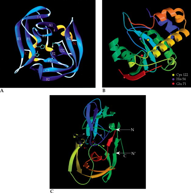 FIGURE 1.19
