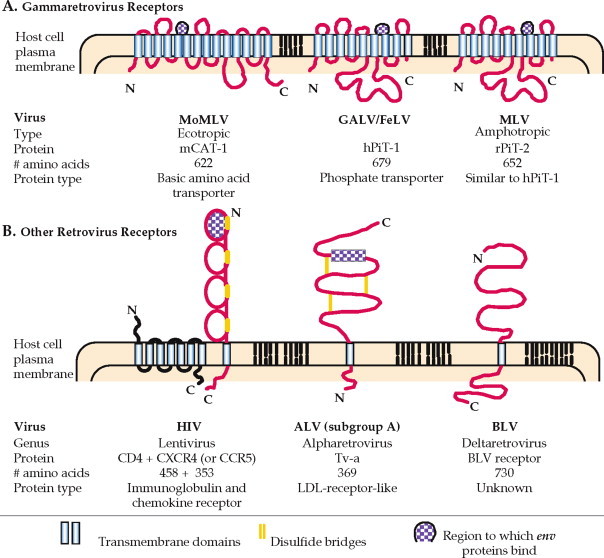 FIGURE 1.4