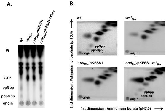 FIG. 5.