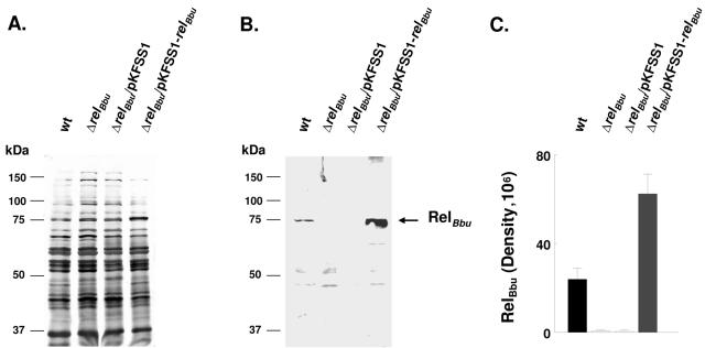 FIG. 4.