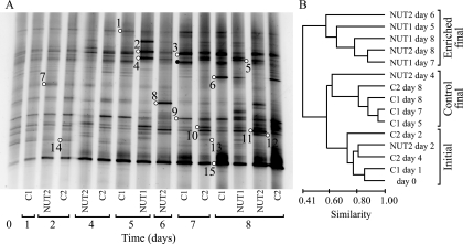 FIG. 5.