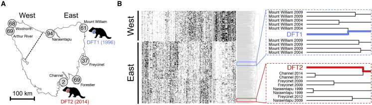 Figure 1