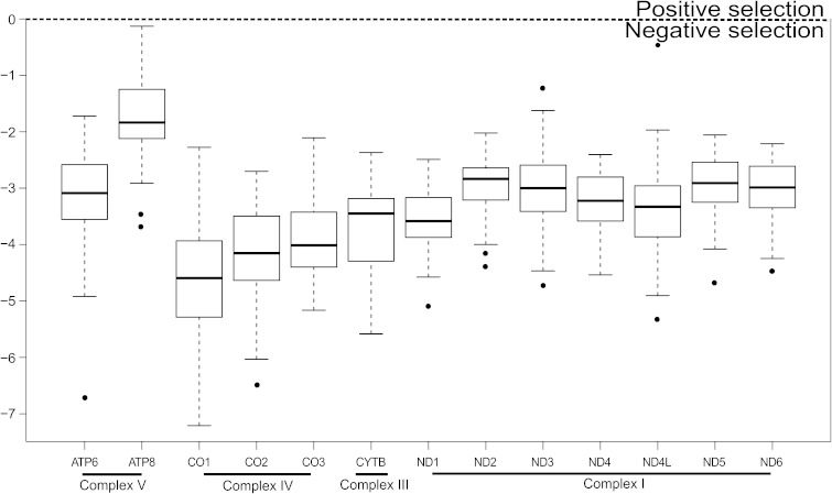 FIG. 2.—