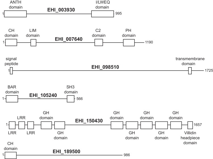 FIG 3