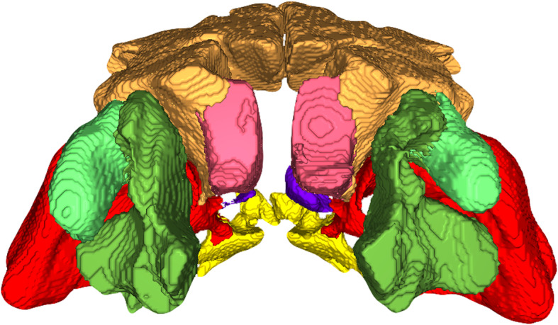 Fig. 1