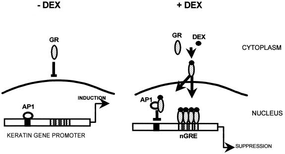 FIG. 11