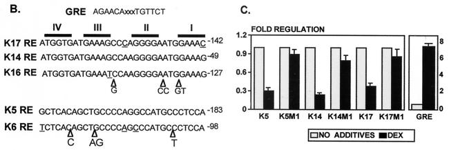 FIG. 6